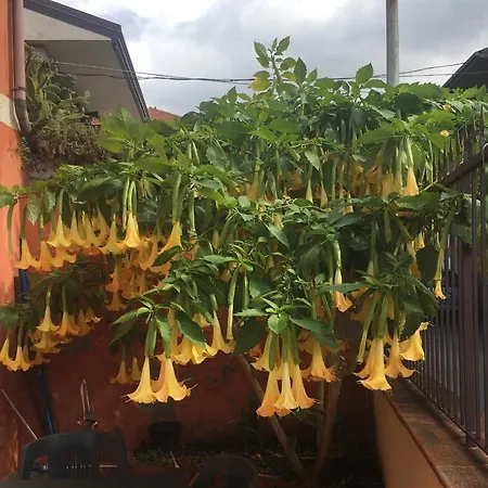 Stanza Sole 3* Ragalna